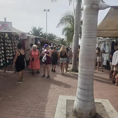 Apartment Wheelchair Accessible Olas